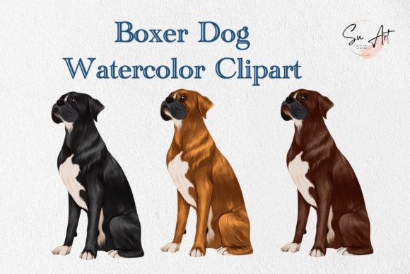 A Designer's Review: Boxer Dog Watercolor Graphics for Branding
