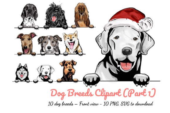 A Designer's Take on Watercolor Dog Clipart for Embroidery