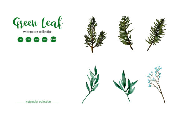A Practical Review of the Green Leaf Watercolor Collection Graphics