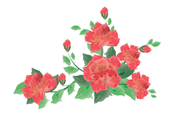 A Premium Watercolor Rose Illustration for Brand Graphics