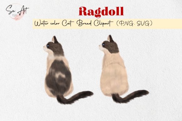 A Ragdoll Cat Breed Graphic for Commercial Illustrations