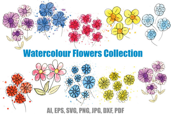 Bringing Editorial Flair with Wildflower Illustrations