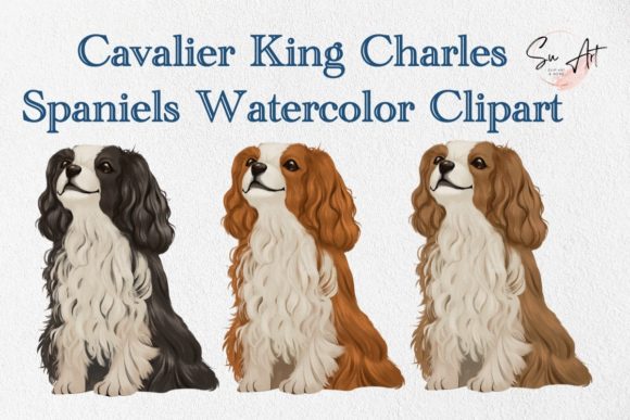 Cavalier King Charles Spaniel Watercolor Graphics for Crafters