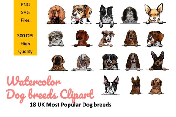 Dog Breeds Watercolor Clipart for Brand Graphics & Illustrations