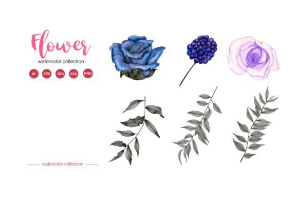 Flower and Leaf Watercolor Graphics for Authentic Illustrations