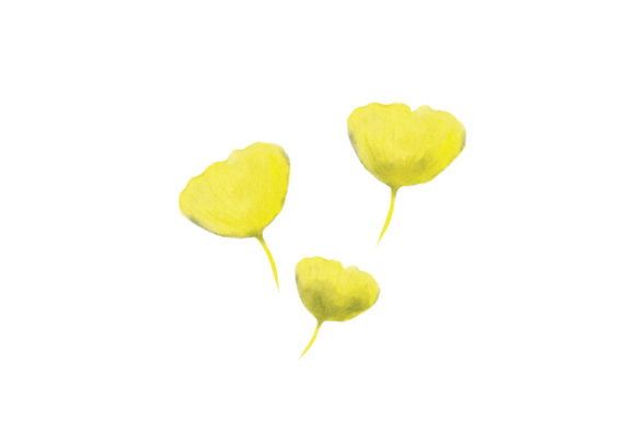 Gingko Leaves Watercolor: A Premium Craft & Nature Asset
