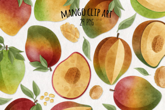 Practical Review: A Designer's Take on Watercolor Mango Graphics