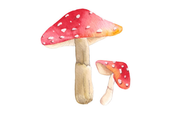 Reviewing Red Mushroom Illustrations for a Professional Graphic Design Project