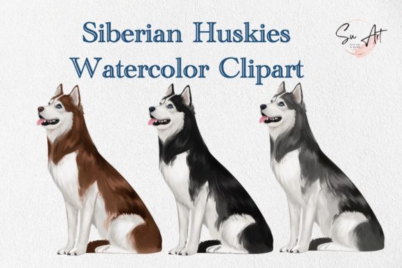 Siberian Husky Graphics: Watercolor Clipart for Editors