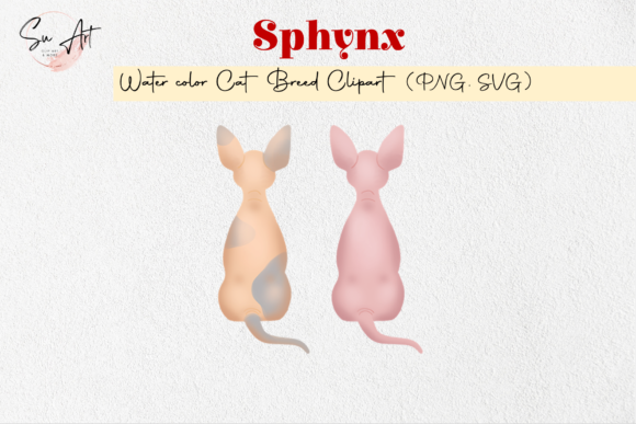 Sphynx Cat Breed Watercolor Graphics for Authentic Brand Illustrations