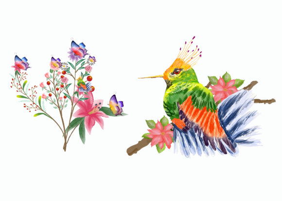 Watercolor Clipart Graphics: Birds and Butterflies