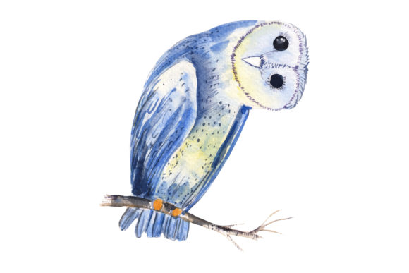 Watercolor Owl Graphics for Digital Product Illustrations