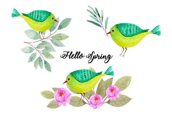 Watercolor Spring Birds Graphics for Local Branding